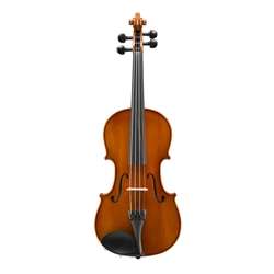 Eastman VL80 Samuel Eastman Violin - Outfit 1/8