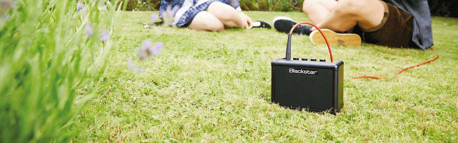 FLY 3 guitar amp outside sitting in grass