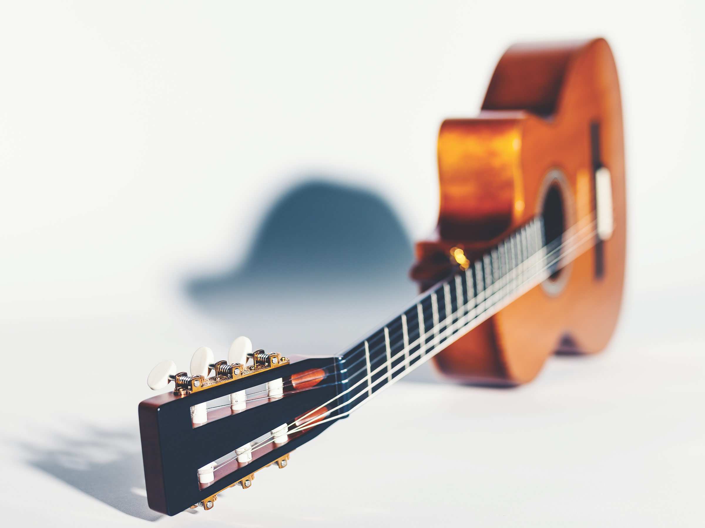 Martin Custom Shop Guitar Front and Back