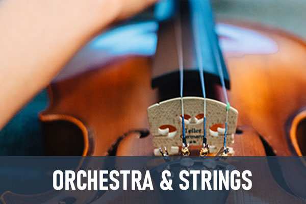 Orchestra And Strings Service And Repair