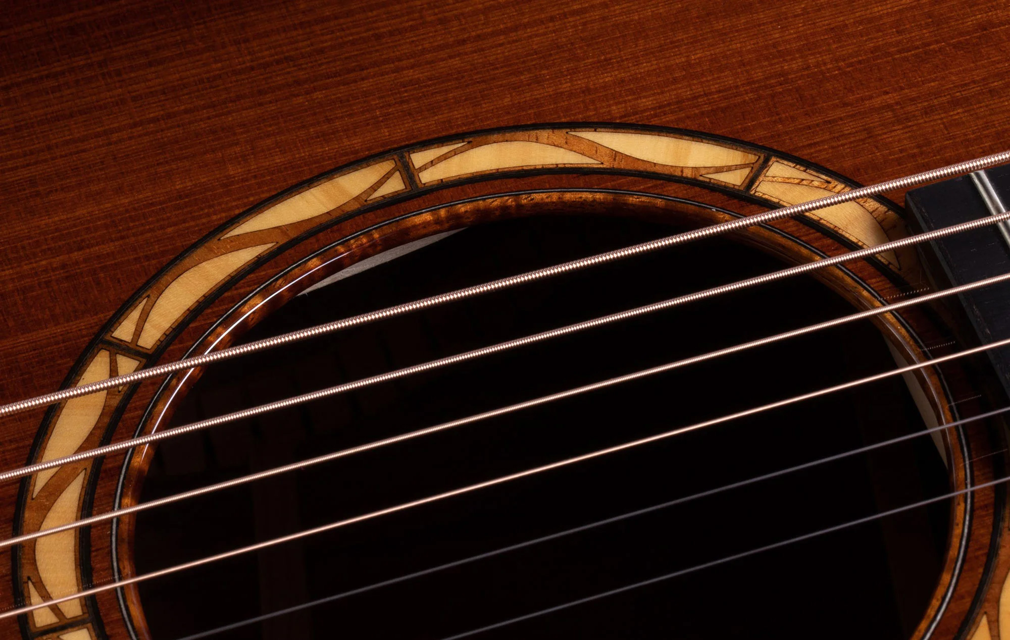 Taylor Custom Collection Guitar Close Detail