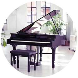 New and used acoustic upright and grand pianos, Yamaha Clavinovas and more. Trade in and Trade up program offered.