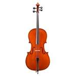 Eastman VC100 Samuel Eastman Student Cello - Outfit 1/2