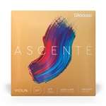 Ascenté Violin String Set, 4/4 Scale, Medium Tension