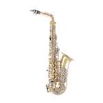Selmer AS301 Premium Student Eb Alto Saxophone