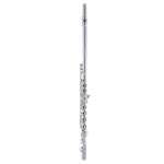 Armstrong AFL201 Student Flute - Closed Hole, Offset G with C Foot