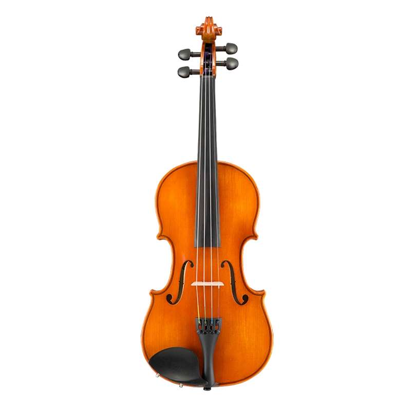 Eastman VL100 Samuel Eastman Student Violin - Outfit 1/4 VL100ST14