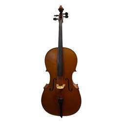 Calin Wultur #6 Guarneri Cello