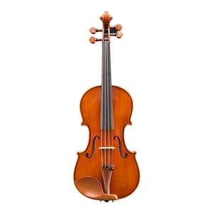 Eastman VL200 Andreas Eastman Violin - Outfit 4/4