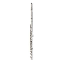 Haynes Q2 Flute (Silver)