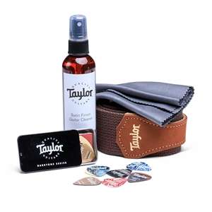 Taylor GS Mini Travel Guitar Essentials Pack